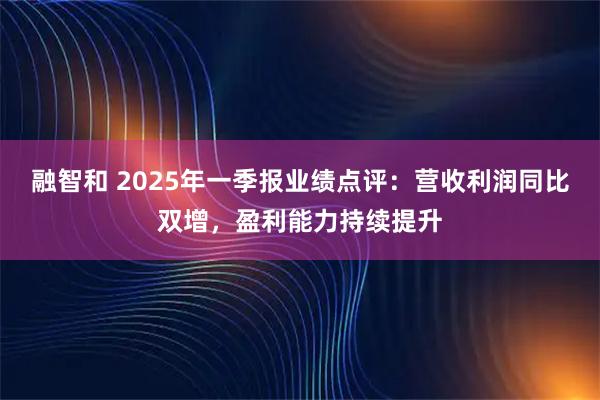融智和 2025年一季报业绩点评：营收利润同比双增，盈利能力持续提升