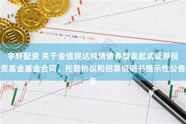 宇轩配资 关于金信民达纯债债券型发起式证券投资基金基金合同、托管协议和招募说明书提示性公告
