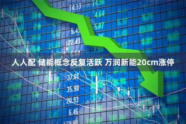 人人配 储能概念反复活跃 万润新能20cm涨停