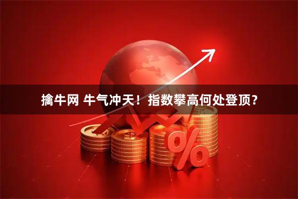 擒牛网 牛气冲天！指数攀高何处登顶？