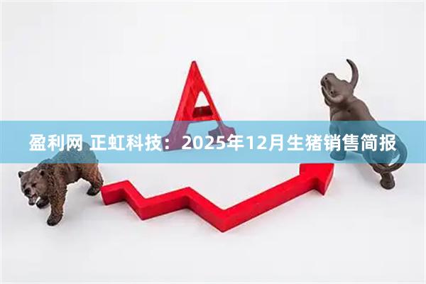 盈利网 正虹科技：2025年12月生猪销售简报