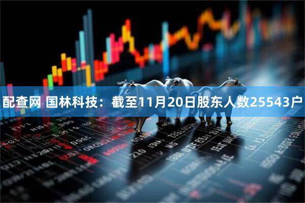 配查网 国林科技：截至11月20日股东人数25543户